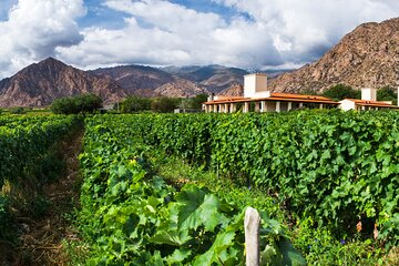 4-days in Salta: Humahuaca valley & wineries in Cafayate 