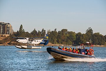 Vancouver - Victoria Seaplane Day Trip with Whale Watching Tour
