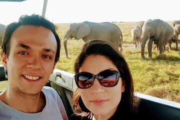 5 Days Masai Mara and Lake Nakuru Lodge Safari