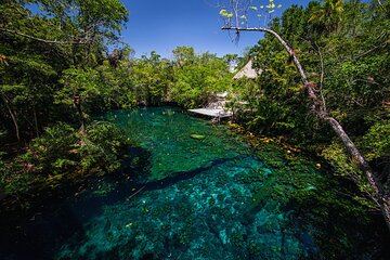 Private Tour - Akumal Snorkeling 3 Cenotes and Ziplines