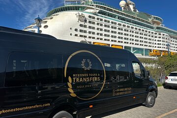 Mykonos Beach Excursion for Cruise Passengers and Family