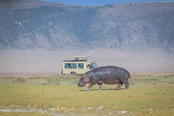 5 Days Private Safaris in Serengeti, Ngorongoro crater &Tarangire