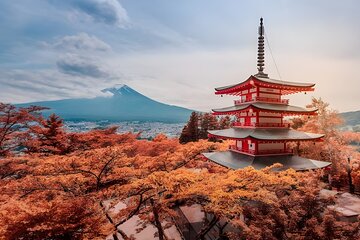 Private Fujiyoshida Pagoda Car Tour from Tokyo