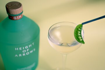 Holyrood Distillery Gin Tasting Experience