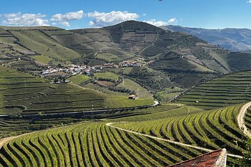 Douro Valley Half-Day Wine Tour with Winery and Lunch From Porto