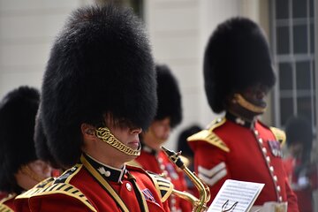 Private Changing of the Guard and Royal London Walking Tour