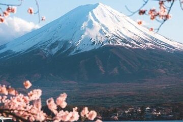 Mount Fuji Sakura Views and Hakone Private Tour