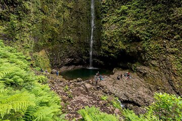 Queimadas Caldeirão Verde