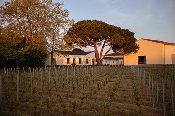 Château de Fieuzal, Pessac-Léognan: Visit and Tasting