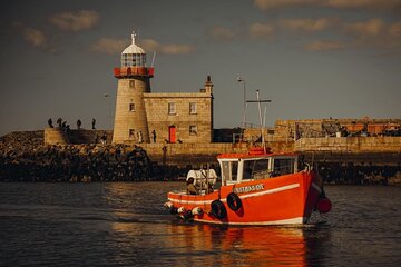 Sundown Cruise Around Ireland Eye from Howth Harbor