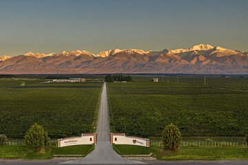 Flavors and Views of Uco Valley and Cordón Del Plata