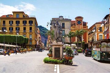 Luxury Sorrento Pompeii with Lunch in the Vineyard Private Tour 