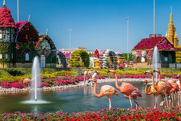 Dubai Miracle Garden Skip the Line Entry Ticket