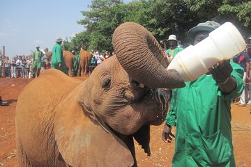 Nairobi Highlights Shared Day Tour by 4WD