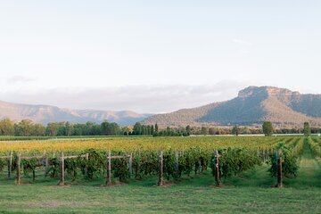 Sydney Hunter Valley Private Wine Tour with Tastings and Lunch