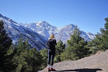 Marrakech: Atlas Mountains Day Hike, Talamrout Summit 2700M
