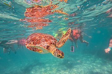 Tulum Ruins, Sea Turtles & Cenote Snorkeling Adventure Tour