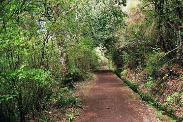 Levada Paradise Valley