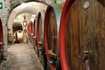 Small Group Tuscany Tour Montepulciano, Montalcino and Cortona