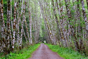 Multi Day Trek from Vancouver to Victoria