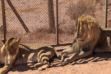 Aquila Game Reserve Safari