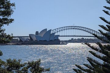 Guided Walking Tour in Sydney City with Lunch