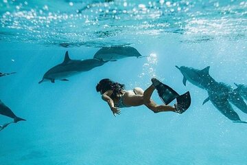 Snorkeling Cruise to Dolphin House with Lunch in Hurghada