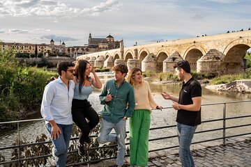 Cordoba with Mosque-Cathedral by High Speed Train from Seville