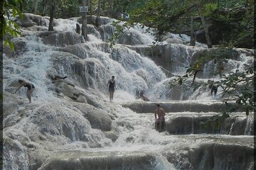 Dunns River Falls and Zipline Adventure from Kingston
