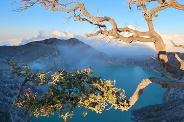 4 Days Tour From Yogya Tumpaksewu Bromo Ijen