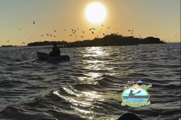 Sunset Kayaking - Wildlife Refuge (Titusville)