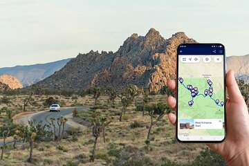Journey into Joshua Tree Audio Tour and Locals Guide