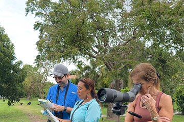Private Bird Watching at Gamboa Trail from Panama