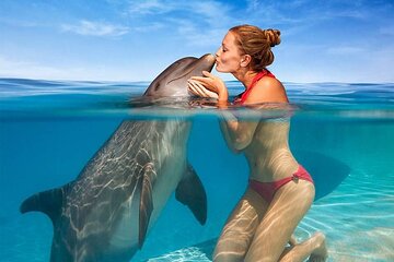 Swim with Wild Dolphins & Sataya Reef with transfer – Marsa Alam 