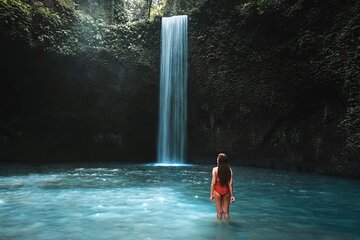 Ubud Private Tour to Iconic Waterfalls Rice Terrace and Temple