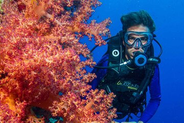Full Day Hamata/Qulaan Islands diving Sea Trip & Lunch-Marsa Alam