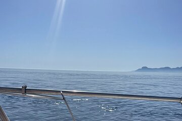 2hr Alcanada Island, Drinks, SUP & Snorkel