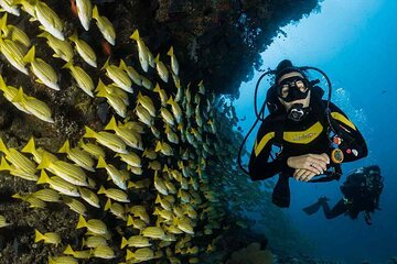 PADI Open Water Diver Course New Diving Skill - Marsa Alam