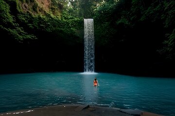 Ubud Private Tour: Waterfalls, Rice Terrace, Swing, All-Inclusive