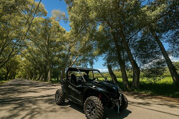 Buggy Safari Adventure in Crete