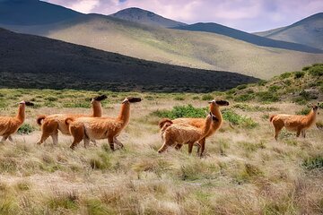 2 Day Tour from Salta to Humahuaca and Salinas Grandes