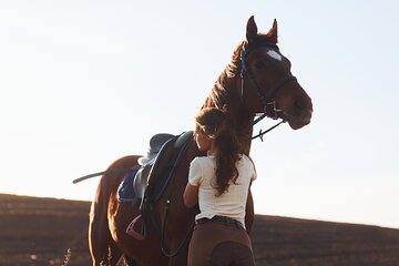 Horse Riding 2 Hours At Desert with transfer - Sharm El Sheikh