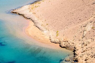 Private Ras Mohamed Half Day Tour with Transfers- Sharm El Sheikh