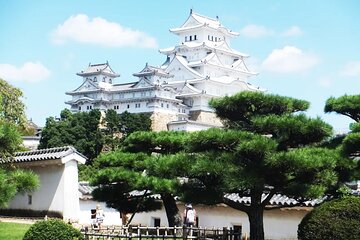 Multi-day private adventures Within Kyoto Nara Osaka And Kobe