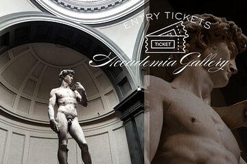 Fast-track entry tickets David's Michaelangelo Accademia Gallery