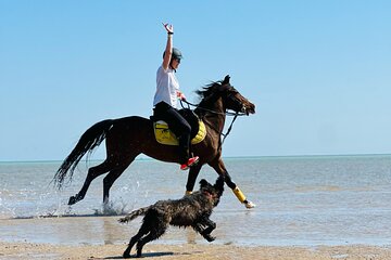 Horse Riding Tour Desert Red Sea Beach with transfers Hurghada
