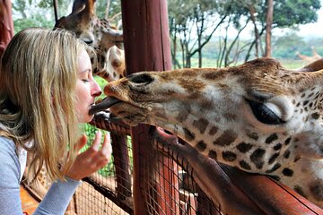 Nairobi Airport Layover Tour Giraffe Center