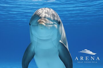 Fantastic DOLPHIN & SUNSET TOUR with dinner (Pula - NP BRIJUNI)