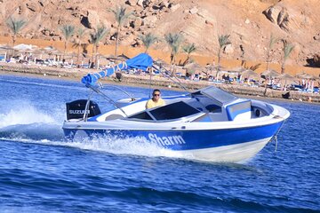 1 Hour Private Speedboat Ride Along the Shoreline -Sharm ElSheikh
