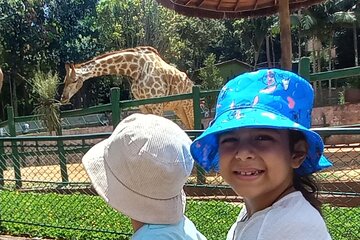 São Paulo Fun Tour Zoo Botanical Garden